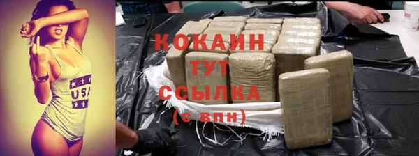 тгк Арсеньев