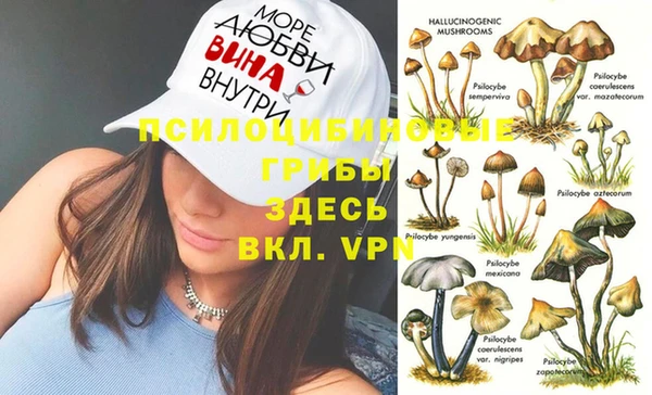 бошки Аркадак