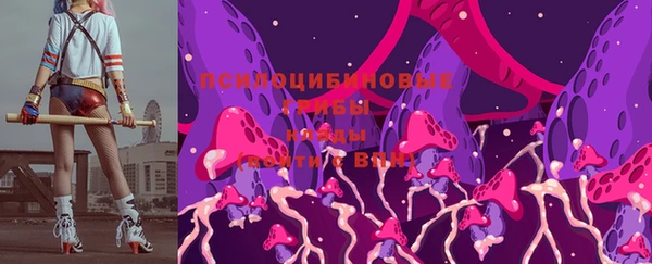тгк Арсеньев