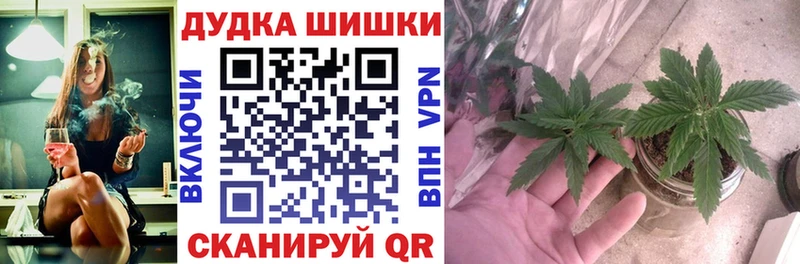 Бошки марихуана White Widow  omg ТОР  Усолье-Сибирское 